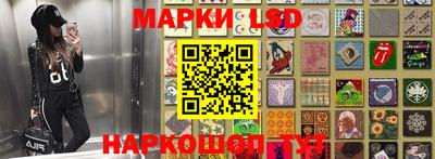 эйфоретик Кингисепп