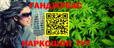эйфоретик Кингисепп