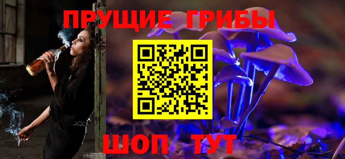 Галлюциногенные грибы мухоморы Волоколамск